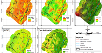 Caracterização espacial de índice relativo de clorofila, índice de vegetação e incidência solar em área de cultivo de Coffea canephora