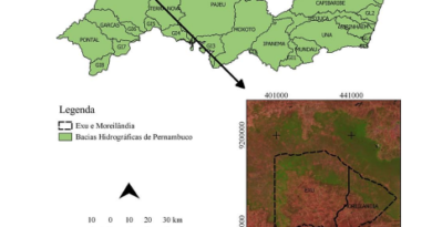 Avaliação de índices de vegetação e características fisiográficas no Sertão Pernambucano