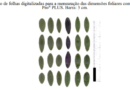 Comparação de softwares de análise de imagem para a determinação da área foliar